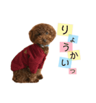 ララ キキ のん ミルキー チーコ（個別スタンプ：3）