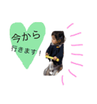 aina ③（個別スタンプ：3）