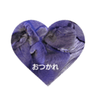 しゃるとりゅー。（個別スタンプ：1）