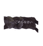 しゃるとりゅー。（個別スタンプ：3）