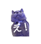 しゃるとりゅー。（個別スタンプ：6）