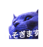 しゃるとりゅー。（個別スタンプ：12）