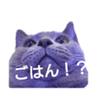 しゃるとりゅー。（個別スタンプ：15）