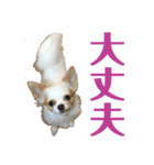 こっちゃん 零（個別スタンプ：7）