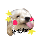ロニー軍団2（個別スタンプ：3）