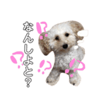 ロニー軍団2（個別スタンプ：4）