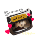 ロニー軍団2（個別スタンプ：8）