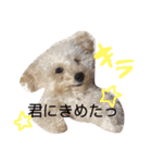 ロニー軍団2（個別スタンプ：13）