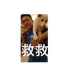 柴犬（しばけん） SANDY（個別スタンプ：21）