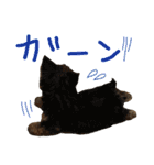 むうむうた（個別スタンプ：8）