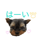 むうむうた（個別スタンプ：9）