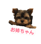 むうむうた（個別スタンプ：15）