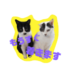 レオしゅうくま2（個別スタンプ：3）