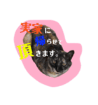 レオしゅうくま2（個別スタンプ：5）