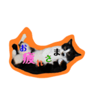 レオしゅうくま2（個別スタンプ：6）