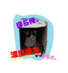 レオしゅうくま2（個別スタンプ：26）