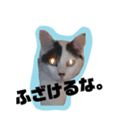 レオしゅうくま2（個別スタンプ：32）