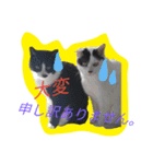 レオしゅうくま2（個別スタンプ：38）