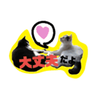 レオしゅうくま2（個別スタンプ：40）