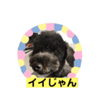 甲州弁のクマトラ（個別スタンプ：1）