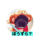 甲州弁のクマトラ（個別スタンプ：3）