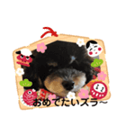 甲州弁のクマトラ（個別スタンプ：8）