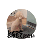 うちのマイトくん（個別スタンプ：3）