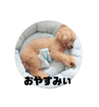 うちのマイトくん（個別スタンプ：4）