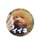 うちのマイトくん（個別スタンプ：6）