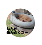 うちのマイトくん（個別スタンプ：9）