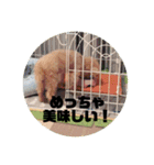 うちのマイトくん（個別スタンプ：12）