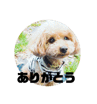うちのマイトくん（個別スタンプ：14）