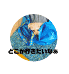 うちのマイトくん（個別スタンプ：22）