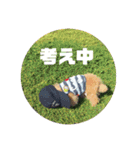 うちのマイトくん（個別スタンプ：23）