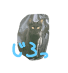 黒猫ぶぶちん＆キジトラとらちん（個別スタンプ：3）