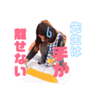 靴下組（個別スタンプ：7）