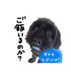 おーちゃんと一緒（個別スタンプ：18）