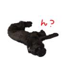 おーちゃんと一緒（個別スタンプ：25）