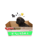 おーちゃんと一緒（個別スタンプ：26）