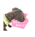 おーちゃんと一緒（個別スタンプ：29）