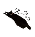 くろネコ（個別スタンプ：2）