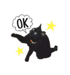 くろネコ（個別スタンプ：14）