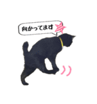くろネコ（個別スタンプ：15）