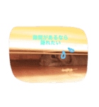 アンゴラチンチラちびまる（個別スタンプ：4）