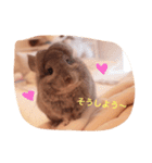 アンゴラチンチラちびまる（個別スタンプ：13）