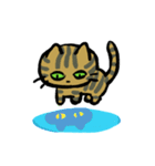 キジトラジャパン（個別スタンプ：1）