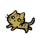 キジトラジャパン（個別スタンプ：2）
