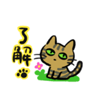 キジトラジャパン（個別スタンプ：10）