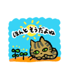キジトラジャパン（個別スタンプ：11）