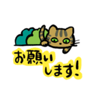 キジトラジャパン（個別スタンプ：13）